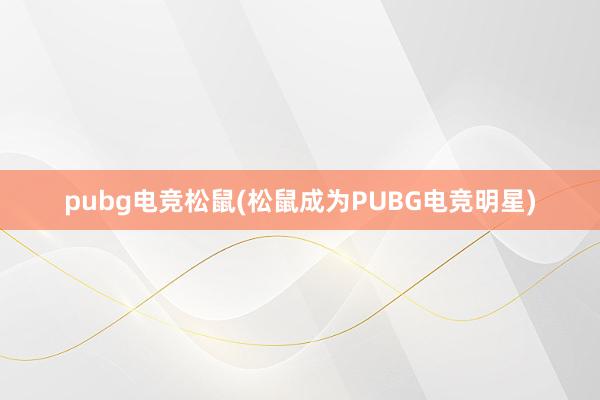 pubg电竞松鼠(松鼠成为PUBG电竞明星)