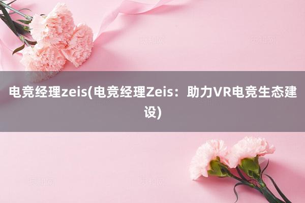 电竞经理zeis(电竞经理Zeis：助力VR电竞生态建设)