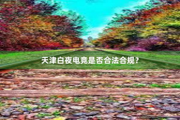 天津白夜电竞是否合法合规？