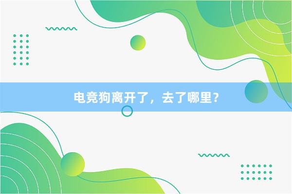 电竞狗离开了，去了哪里？